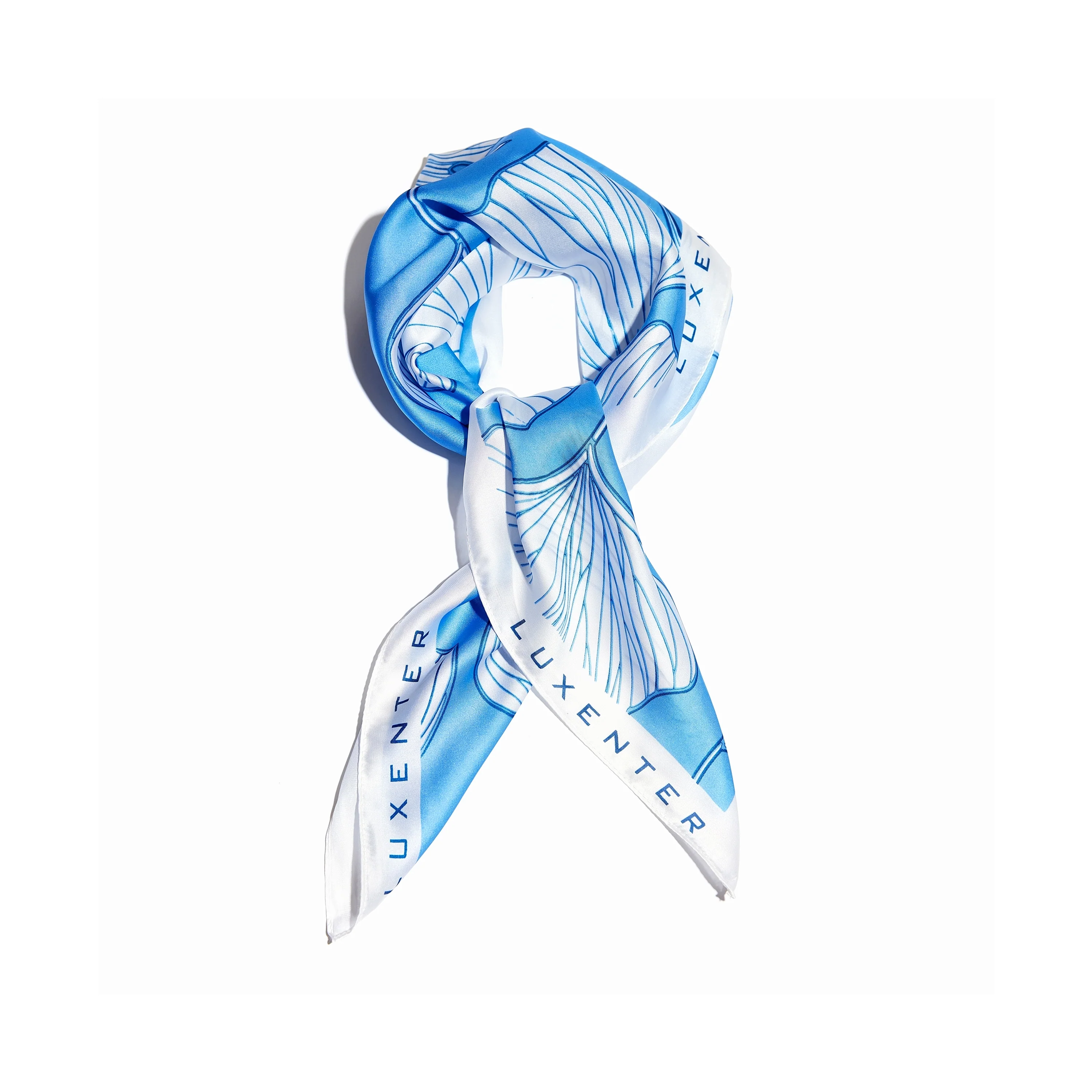 Pañuelo Azul y Blanco de Seda-Luxenter