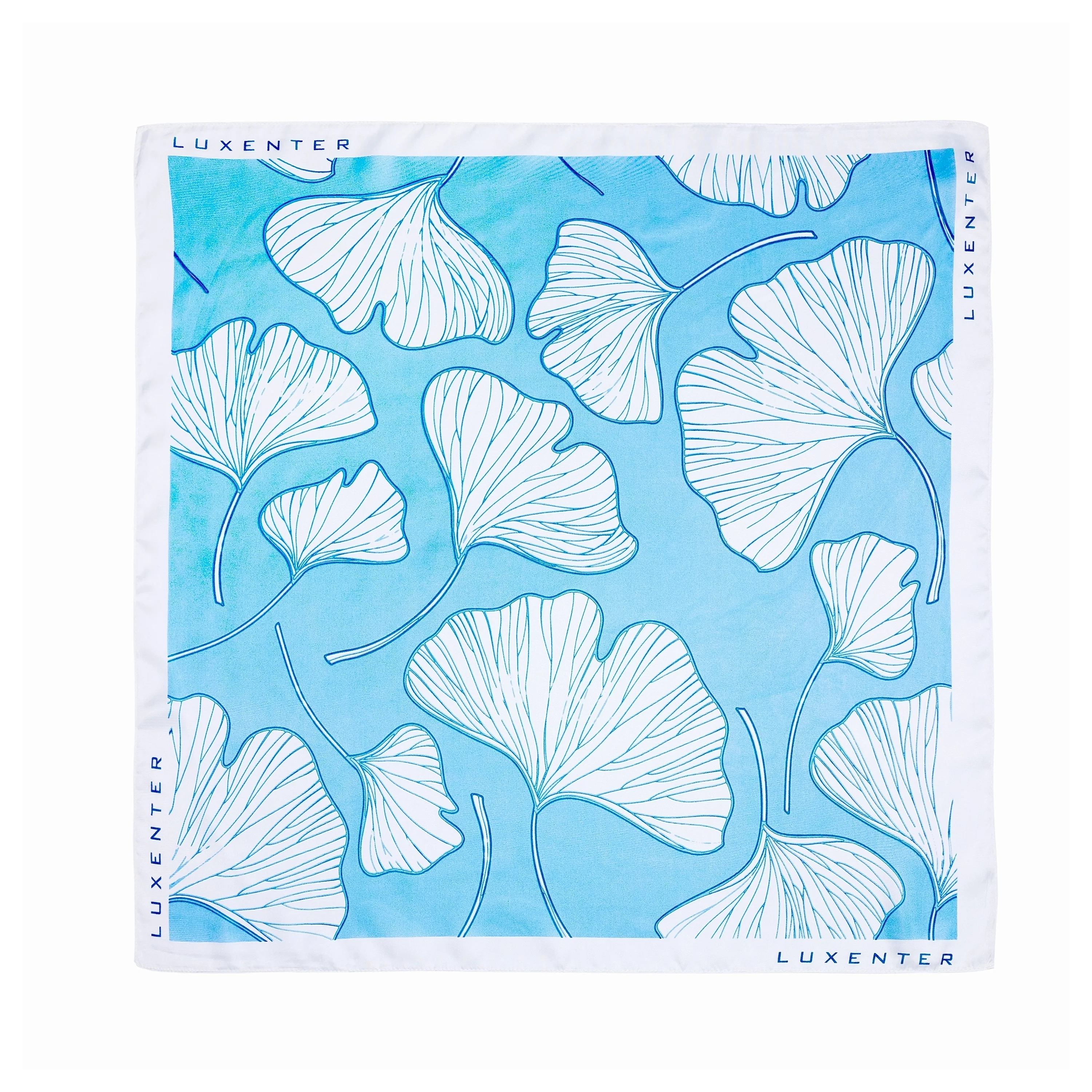 Pañuelo Azul y Blanco de Seda-Luxenter - Image 2