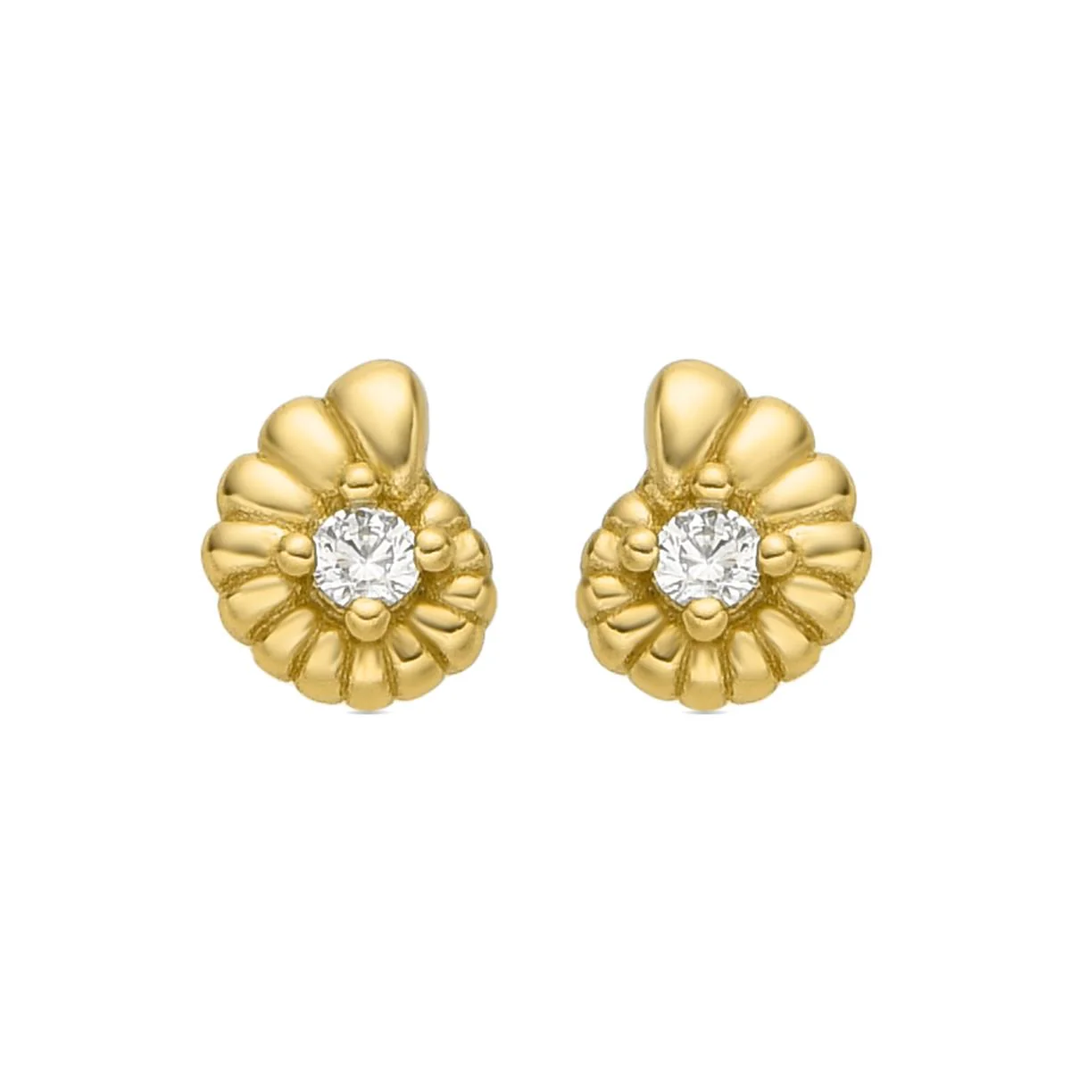 Pendientes Caracola Plata de Ley 925 - Caracola BLANCO