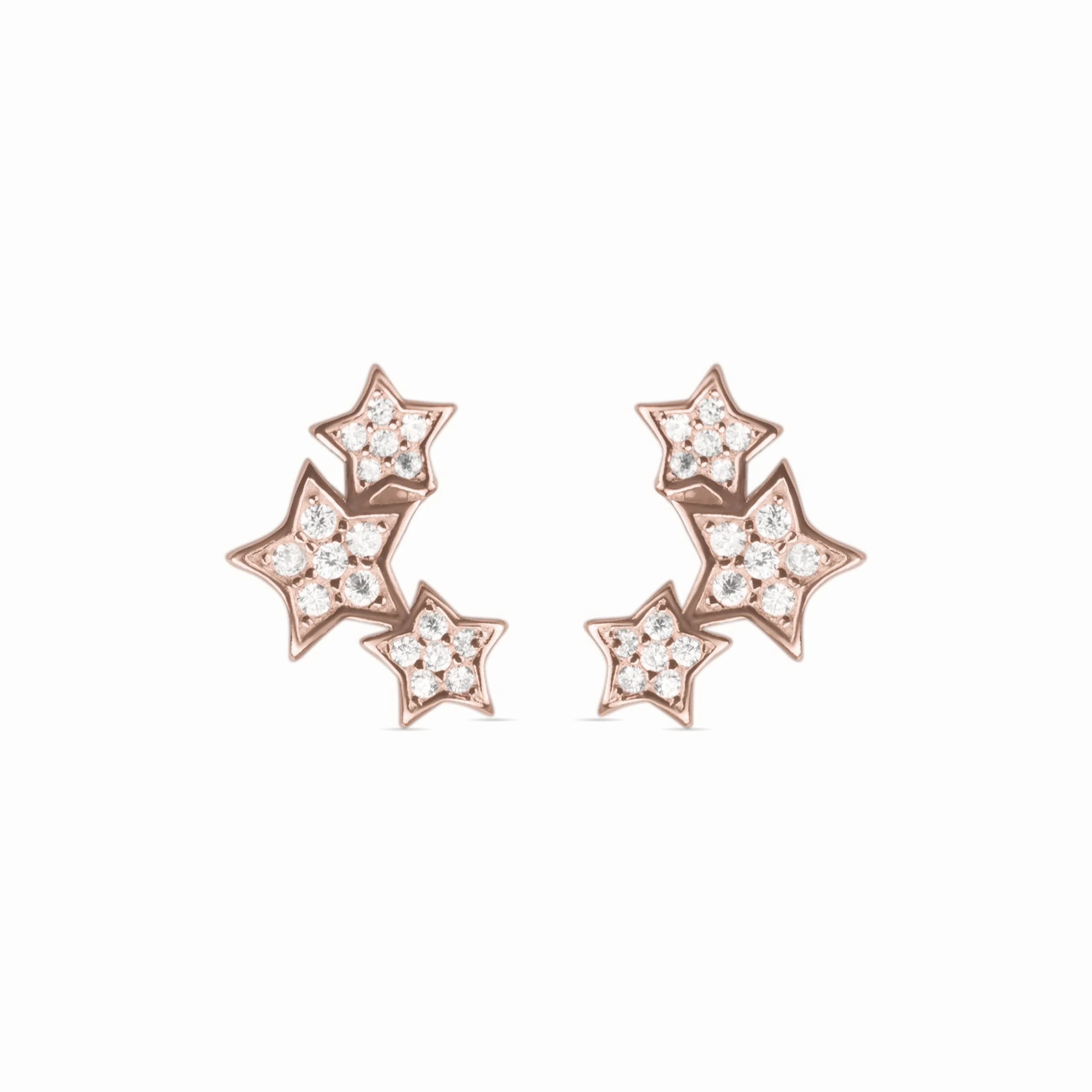 Pendientes de Plata de Ley 925 con Circonita Brillante acabados en oro rosa 18K - Familia